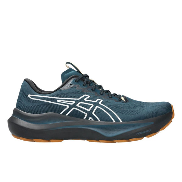 ASICS asics GT-2000 14 TR Men's Trail Running Shoes