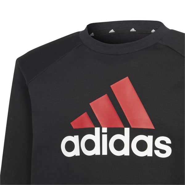 ADIDAS adidas Essentials Big Logo Fleece Kid's Tracksuits