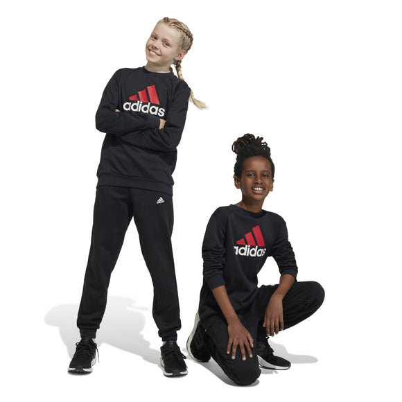 ADIDAS adidas Essentials Big Logo Fleece Kid's Tracksuits