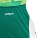 ADIDAS adidas Tiro 24 Men's Shorts