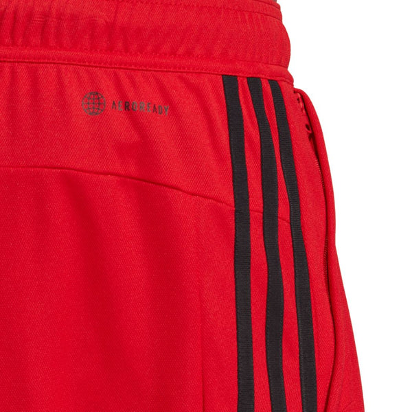 ADIDAS adidas Train Essentials Pique 3 Stripes Training Men's Shorts