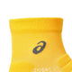 ASICS Pasics Performance Run Unisex Quarter Socks