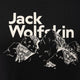 JACK WOLFSKIN jack wolfskin Bergblick Men's Tee