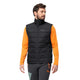 JACK WOLFSKIN jack wolfskin Ather Men's Down Vest