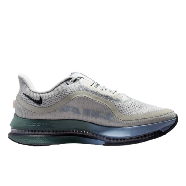 NIKE nike Pegasus Premium Men's Running Shoes