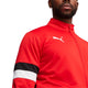 PUMA puma TeamRISE Men's Tracksuit